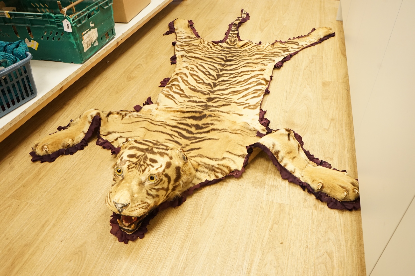 A taxidermy tiger skin rug, early 20th century